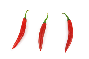 Red hot chili pepper isolated on white background
