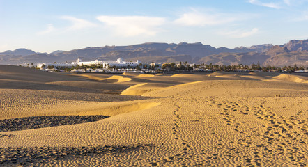 Naklejka premium View of the nature reserve, beautiful dunes. Spain. Gran Canaria. Dunas de Maspalomas.