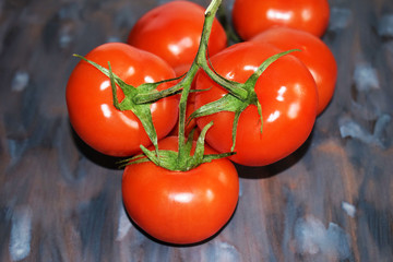 Red tomatoes on branch close-up.