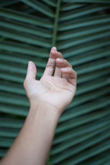 m&atilde;o humana sobre um fundo natural