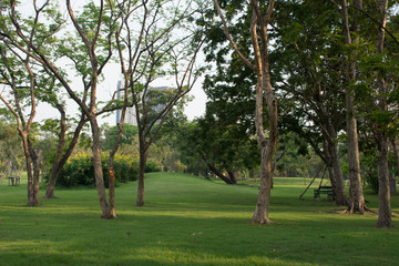 Realaxing with green park