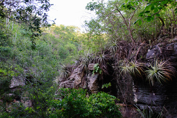landscape with stones, water and trees of a tourist place in the Brazilian northeast
