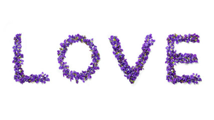 Love word writen with flowers isolated on white background. Violets love text. Valentine's day greeting card