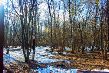 landscape