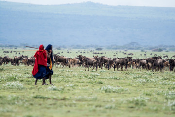 Massai Mara in Ngorongoro