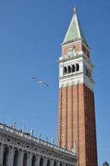 Fototapeta na wymiar a tower and a seagull flying in the sky on a sunny day