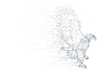 Abstrakter Adler aus Low-Poly-Drahtmodell isoliert auf weißem Hintergrund - polygonale Bildmaschenlinienstruktur, Vektorillustration © Roman Dekan