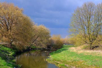 wiosenny krajobraz, drzewa nad brzegiem rzeki, widok wzdłuż rzeki 1