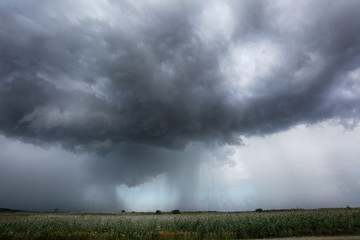 Big gray thundercloud over the field, it is raining