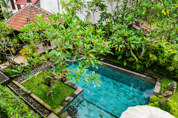 Garden on back yard with swiming pool