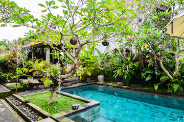 Garden on back yard with swimming pool