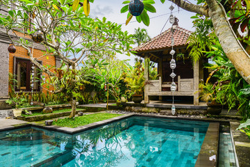 Garden on back yard with swimming pool