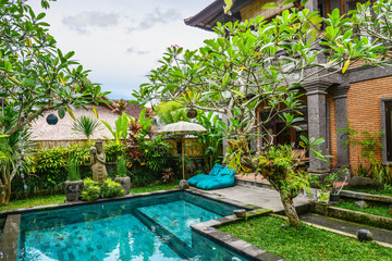 Garden on back yard with swimming pool