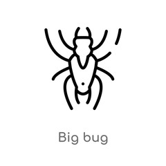 outline big bug vector icon. isolated black simple line element illustration from animals concept. editable vector stroke big bug icon on white background