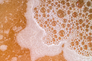 Beer wort starting to boil, Wort for Home Brewer Wheat Beer.