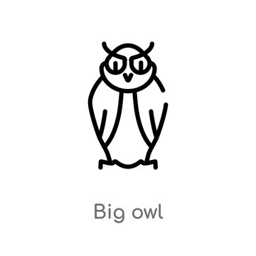 outline big owl vector icon. isolated black simple line element illustration from animals concept. editable vector stroke big owl icon on white background
