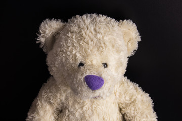 White custom hand made Teddy Bear with purple nose on dark background