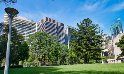 Obraz na płótnie Canvas Sydney skyline as seen from Hyde Park on a sunny day, Australia