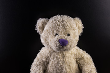 White custom hand made Teddy Bear with purple nose on dark background
