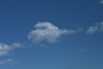 Fototapeta premium blue sky with cloud,nature, white, air, cloudscape, weather,atmosphere,