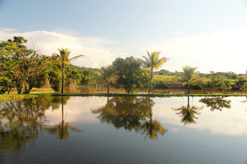 Obraz premium Landscape Brazil, farm rural, lake nature