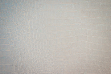 Fototapeta premium Texture of python skin close-up. Snake or crocodile skin painted in a light color. 