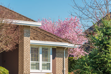 The top of the house or apartment building with nice window.
