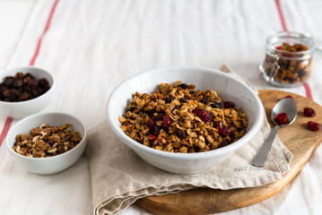 Dry breakfast cereals. Crunchy honey granola bowl with flax seeds, cranberries and coconut. Healthy, vegeterian fiber food. Breakfast time. Dieting concept for banner. Copy space