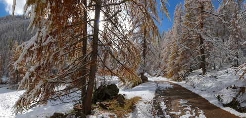 VALLON DE NARREYROUX