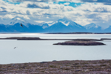 Cold landscapes and icescapes of Svalbard.