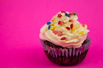 Cupcake with cream on a pink background. Close-up. Beautiful decoration. The triumph of Copy space