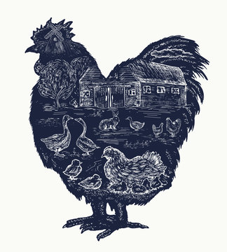 Rooster double exposure tattoo, Farm animals art hand drawn graphic