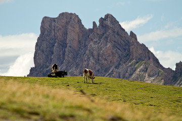 Fototapeta na wymiar Seiseralm Alp de Siusi