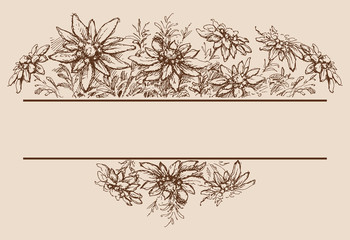 Edelweiss hand drawn borders and decorations