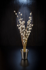 A bouquet of fluffy willow branches (Salix gracilistyla) in the metal-bucket cup