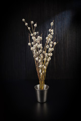 A bouquet of fluffy willow branches (Salix gracilistyla) in the metal-bucket cup
