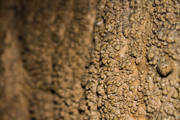 Detail of the formation of calcite inside a cave in Italy