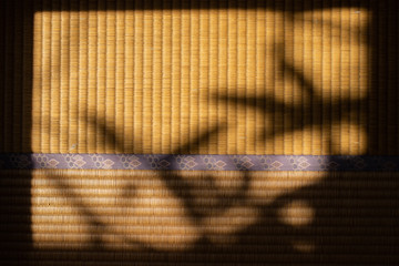 silhouette on tatami mat