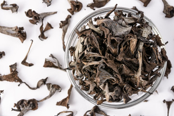 Setas desecadas naturales sobre fondo blanco