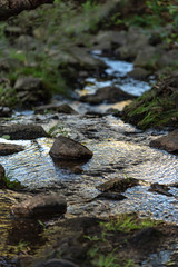Small waterfall or cascade captured near the water surface full of rocks and plants