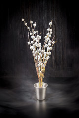 A bouquet of fluffy willow branches (Salix gracilistyla) in the metal-bucket cup in smoke haze