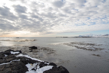 Fototapeta na wymiar Ytri tunga seal reserve in Iceland
