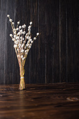 A bouquet of fluffy willow branches (Salix gracilistyla) on a wooden board background