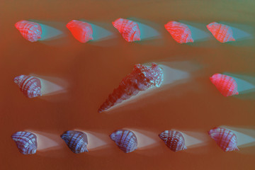 Frame of beautiful seashells in blue, red, pink and living coral color neon light. Mollusk seashell texture.
