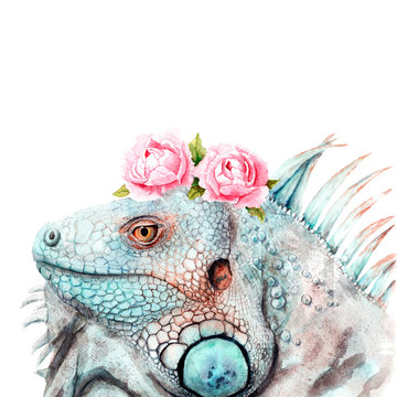 watercolor drawing of animal - iguana with flowers