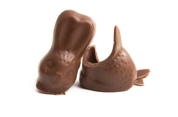chocolate bunny isolated
