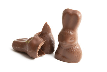 chocolate bunny isolated