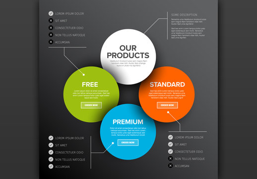Product Features Information Layout