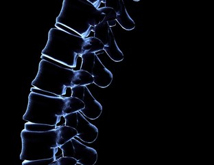 Skeletal human spine on Black 3D Rendering