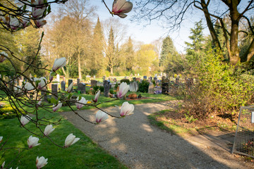 Blick über den Friedhof  © Blende8